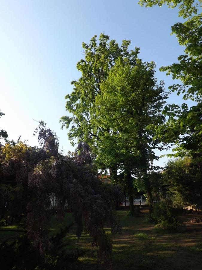Villa Mirano Bed & Breakfast Piossasco Zewnętrze zdjęcie