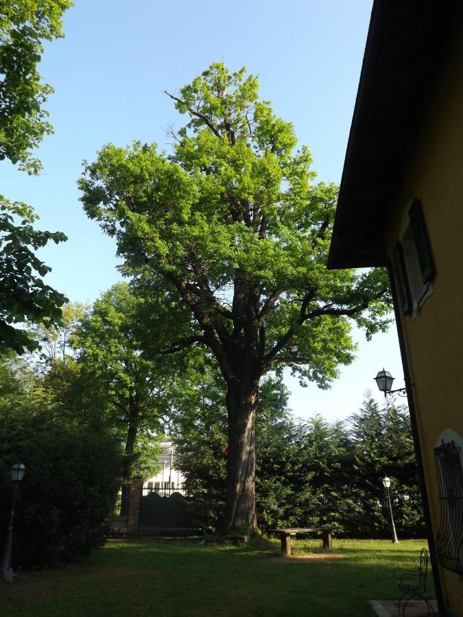 Villa Mirano Bed & Breakfast Piossasco Zewnętrze zdjęcie